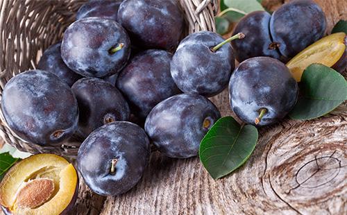 Fresh plums on the table