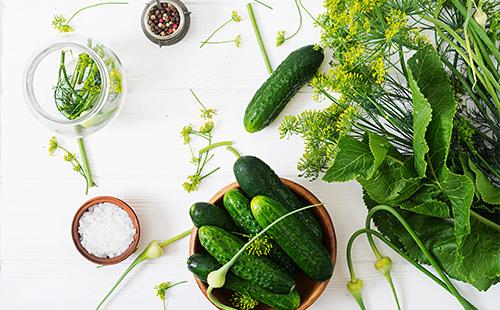 Fresh cucumbers in a bowl
