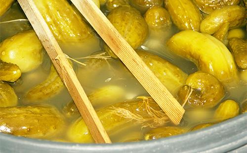 Cucumbers in brine