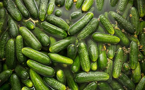 Ogals in water before pickling