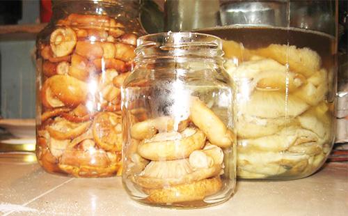 Crashing mushrooms in banks