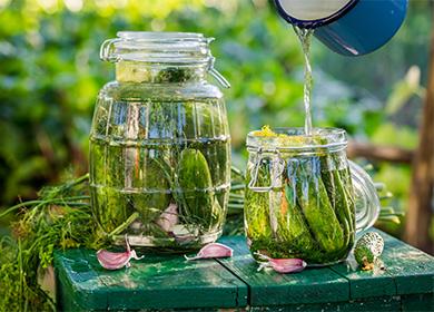 Pickled cucumbers in a jar