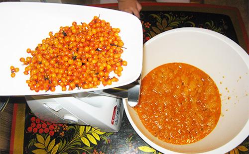 Sea buckthorn berries twisted in a meat grinder