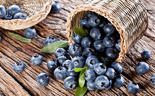 Blueberries in a basket