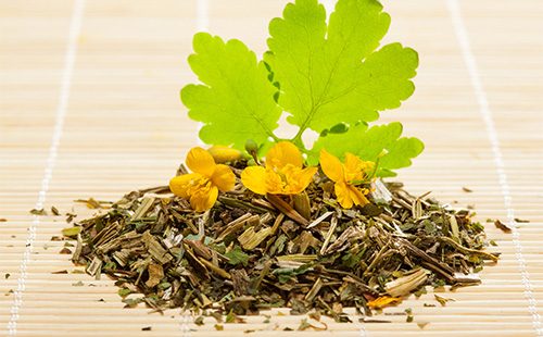 Celandine dry