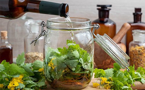Preparation of celandine tincture