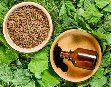 Kidneys and Birch Tar