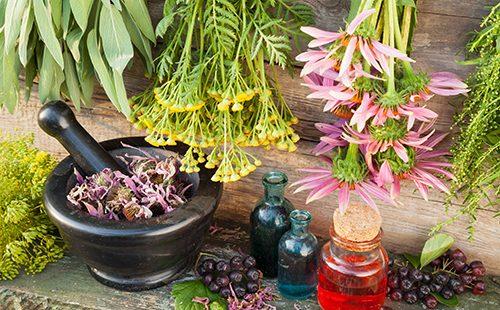 Bunches of healing herbs, mortar and bubbles