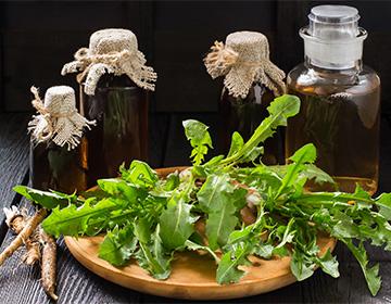 Dandelion root in a plate