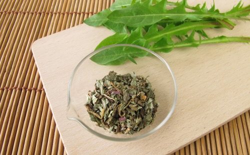 Shredded dandelion leaves