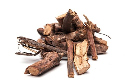 Rosehip root on a white background