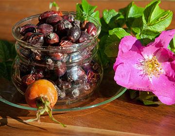 Dry rosehip in a jar