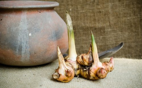 Galangal root