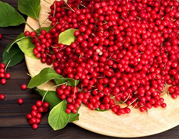 Chinese Schisandra Berries