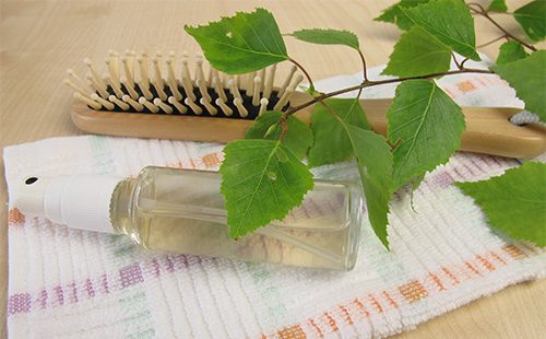 Leaves and Birch Oil