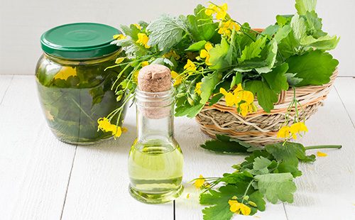 Celandine oil in a bottle