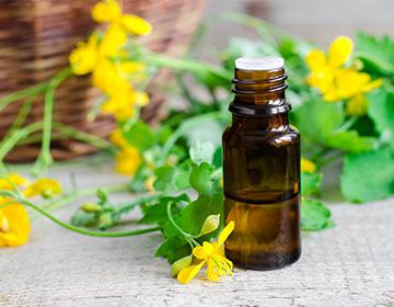 Celandine oil