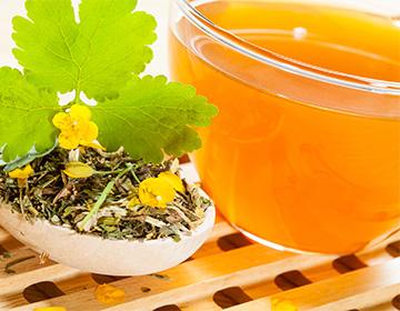Celandine tincture in a bowl