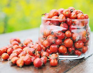 Dog-rose fruit