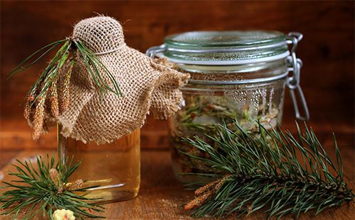 Pine cone syrup