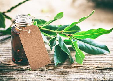 Laurel leaf oil