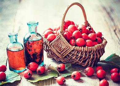 Tincture of hawthorn