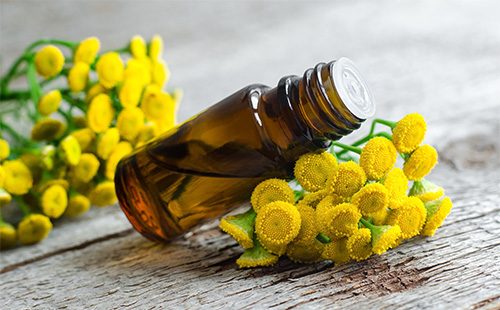 Tansy oil