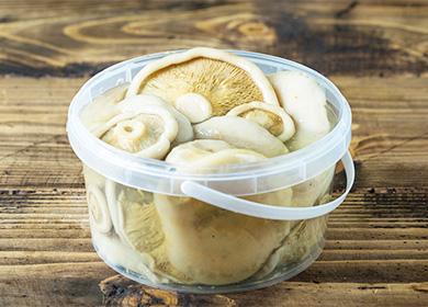 Salty Mushrooms in a Bucket