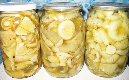 Salted Mushrooms in Jars