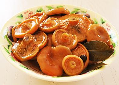 Salted saffron mushrooms in a plate