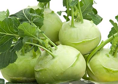 Kohlrabi cabbage