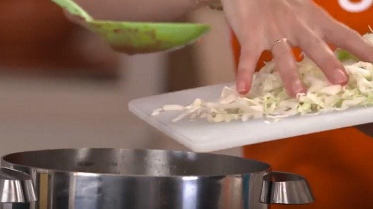 Add cabbage to the future borsch.