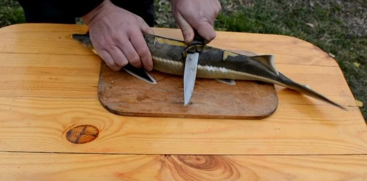 First you need to clean the sterlet correctly.