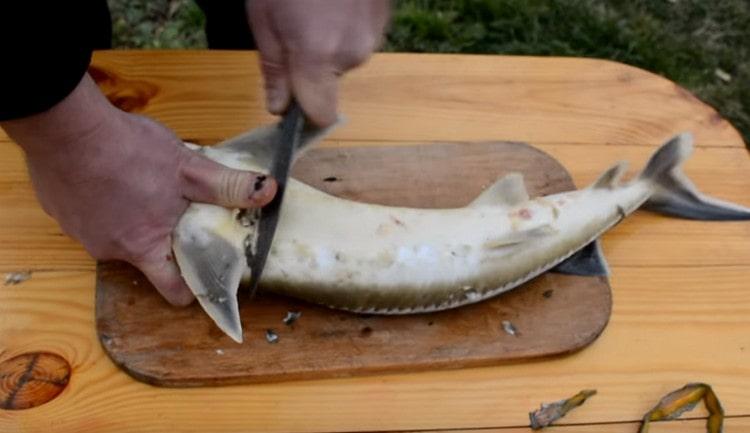 We clean the fish from small scales.