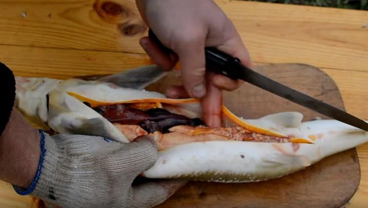 Cut the carcass of the abdomen and take out the insides.