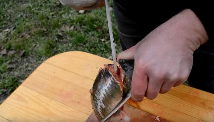 Carefully remove the chord from the carcass.