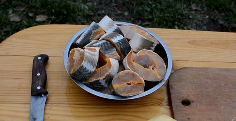 Sterlet carcasses cut into portions.