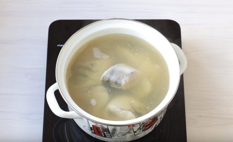 It's time to add the fish.