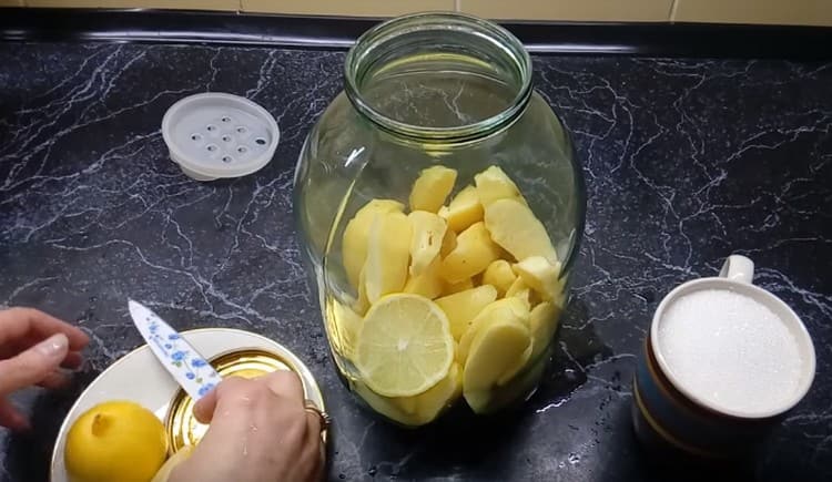 Add a lemon circle to the quince in the jar.