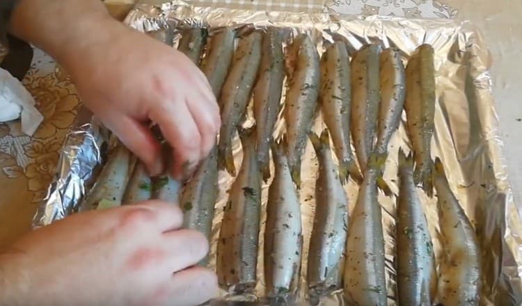 We spread the pickled fish on a baking sheet covered with foil.