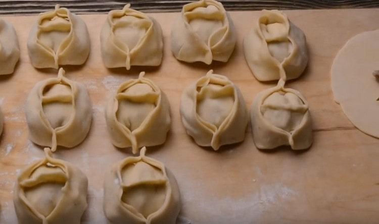 That's what manti look like.