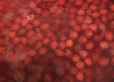 Viburnum fruit drink - very healthy and refreshing