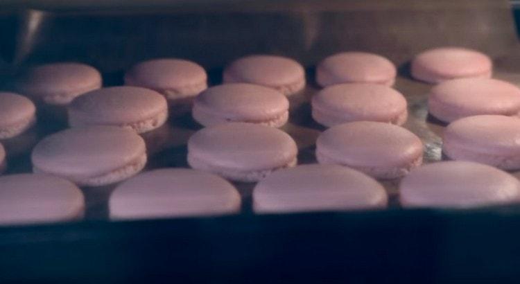 Subject to all the rules, famous skirts should appear on cookies.