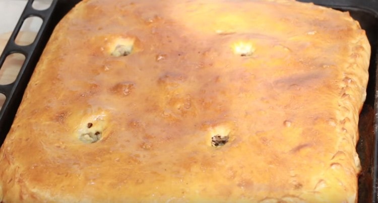 Such a cake is baked for about an hour.