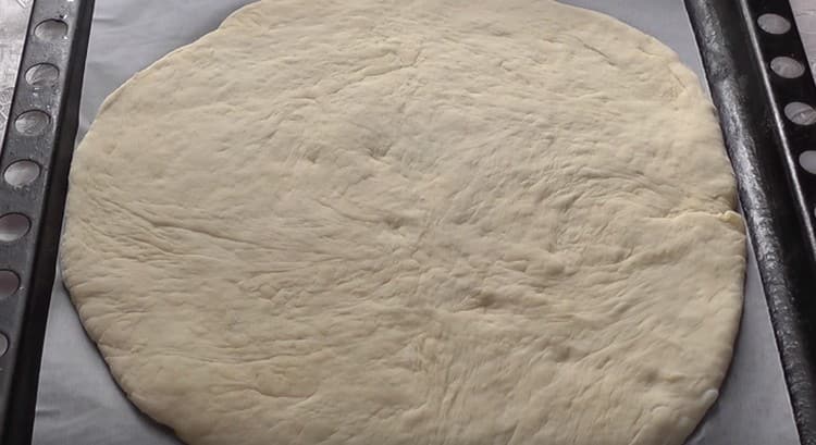 We spread the dough on a baking sheet covered with parchment and greased with vegetable oil.