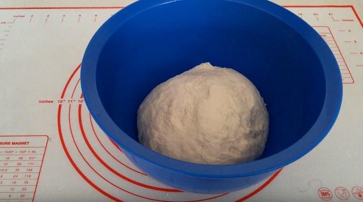 Leave the dough in a warm place so that it rises.