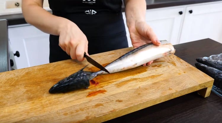 At the carcass of a mackerel, we cut off the tail and head.