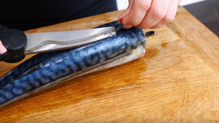 We cut the fins with scissors.