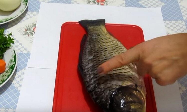 Carp gutted and cleaned.