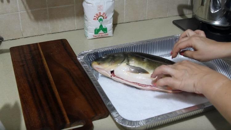 Spread on a layer of carp salt.